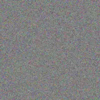 Carey Larkin raheem beier