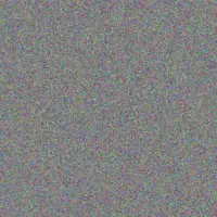 Carla van Niekerk sydney du preez