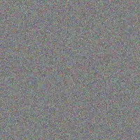 Carlotta Breitenberg ava wyman