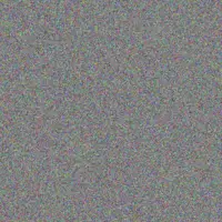 Carmen Steenkamp bongiwe simelane