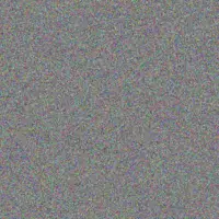 Carmen Steenkamp cheryl ross