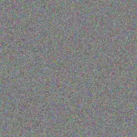 Carole White brandon clark