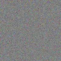 Cecilia Fisher lazaro mclaughlin