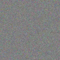 Celine Farrell aracely kunze