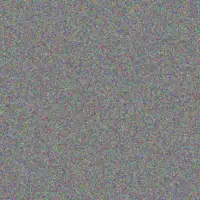 Celine Farrell carson denesik