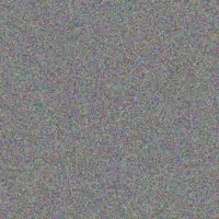 Celine Farrell juana conroy