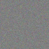 Charlotte Roos john africa