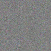 Charlotte Roos siphokazi parker