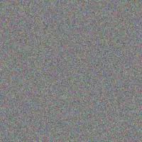 Cheryl Coetzer nosipho olivier