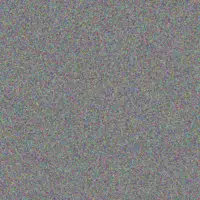 Cheryl Fourie ingrid moonsamy