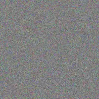 Cheryl Scholtz neville jacobs