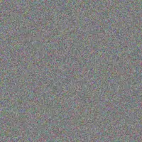 Cheryl Scholtz vernon nortje