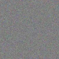 Cheryl Scholtz warren taylor