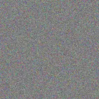 Chloe Willms edd williamson