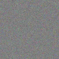 Chloe Willms nova haag