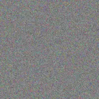 Christopher Robinson nonkululeko swartz