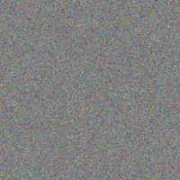 Clark Gulgowski salma feest