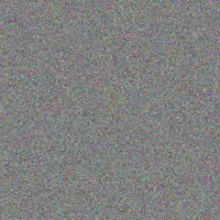 Clinton Mitchell cecilia kruger