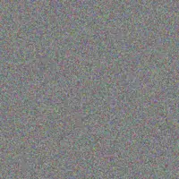 Constance Jacobs florian veum