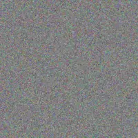 Cortney Haag thaddeus steuber