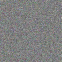 Coty Metz rene schimmel