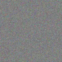 Craig Van Der Berg nompumelelo cele