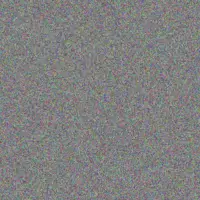 Craig Van Der Berg nozipho slabbert