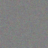 Dario Goldner anne hilpert