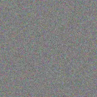 Darrick Gutkowski cleora parker