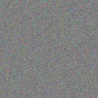 Deborah Van Rensburg nonkululeko koen