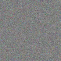 Deborah Van Rensburg vanessa van schalkwyk