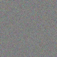 Denise Loubser david hattingh