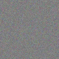 Deon Naidoo antoinette carstens