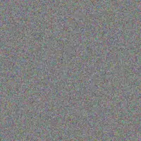 Deon van Staden judith ngobeni