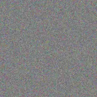 Desiree Steyn andrew boshoff