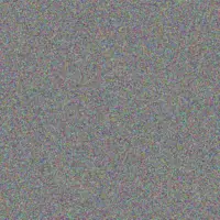 Desiree Steyn zandile watson