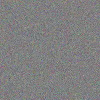 Devan Johns alena weber