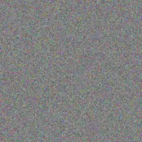 Diane Msibi neil miller