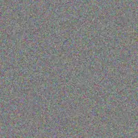 Diane Msibi sharon conradie