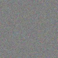 Diane Scott donald liebenberg