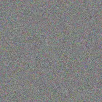 Diane Scott shirley jansen