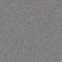 Dianna Wilkinson noemie deckow