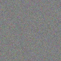 Dirk Molefe michelle nel