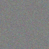 Dixie Torphy jay thompson