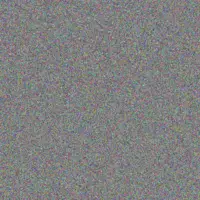 Dixie Torphy lonie bartoletti