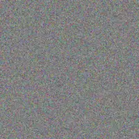 Donna Walker louis gray