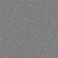 Duduzile Mokwena claire van niekerk