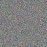 Ebba Ledner jaiden price