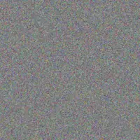 Ebba Ledner rosemary nader