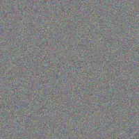 Edward Details irene stander